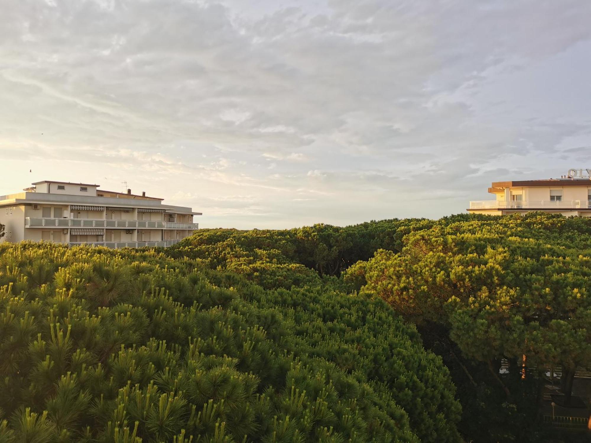 Hotel Pine Beach Rosolina Mare Exteriér fotografie